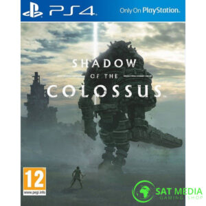 Shadow of the Colossus PS4